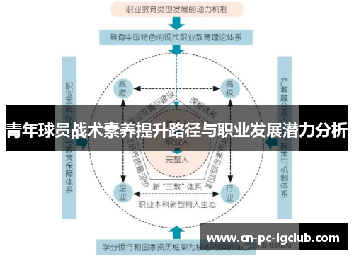 青年球员战术素养提升路径与职业发展潜力分析