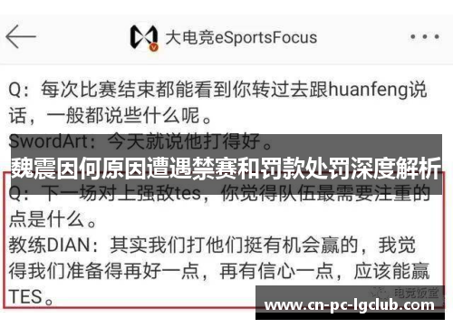 魏震因何原因遭遇禁赛和罚款处罚深度解析