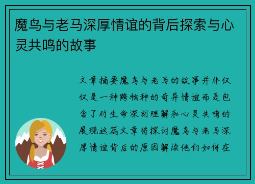 魔鸟与老马深厚情谊的背后探索与心灵共鸣的故事