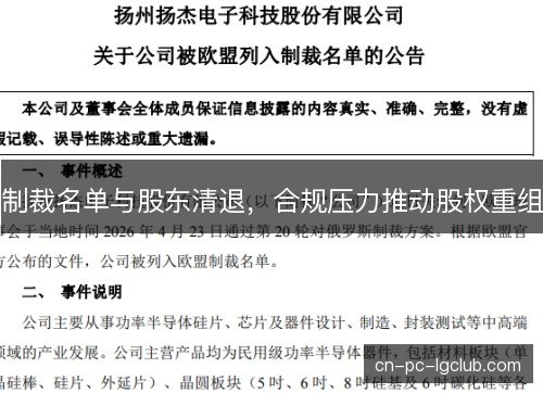 制裁名单与股东清退，合规压力推动股权重组