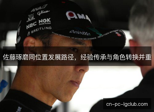 佐藤琢磨同位置发展路径，经验传承与角色转换并重